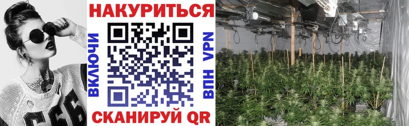 Канабис индика  Великий Новгород 